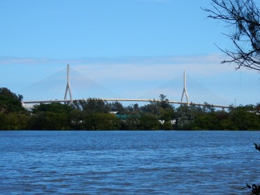 1BCD816E-BF3B-43C4-A4B3-B1CCE9DE2AE4